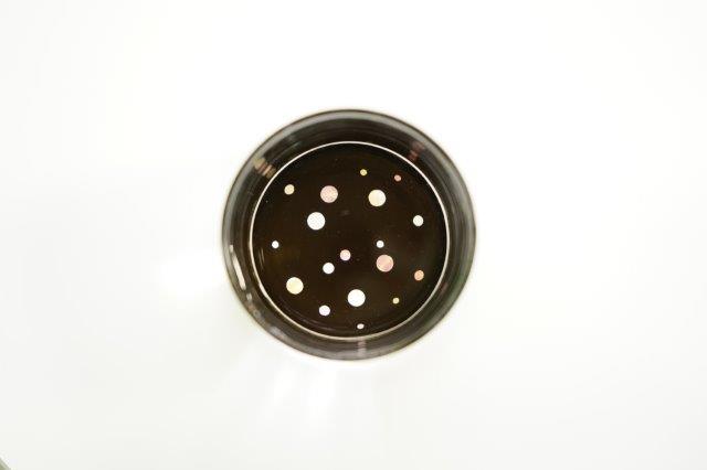 GUINOMI SAKE Glass Mt. FUJI TAKAOKA RADEN Mother of Pearl Inlay