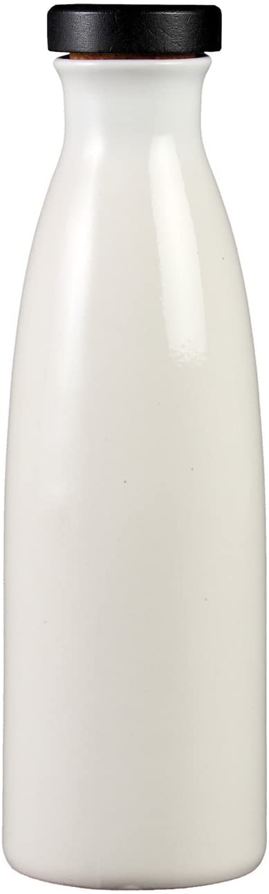 Shigaraki Pottery Ion Bottle Candy