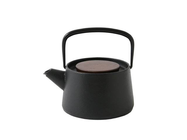 tetu Japanese Cast Iron Kettle TETSUBIN NAMBU Modern Design Induction Compatible